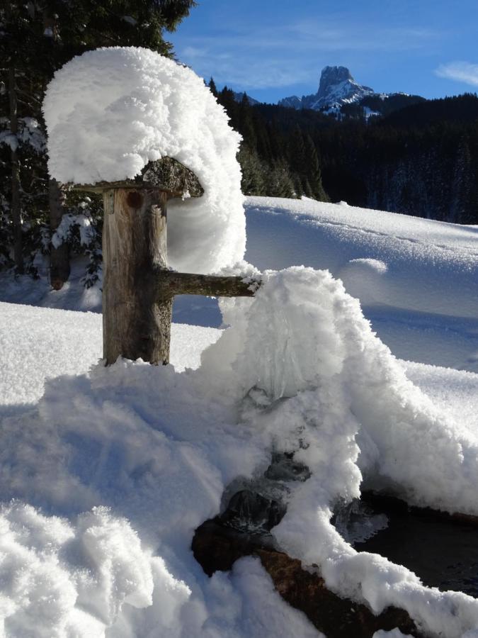 Plaik-Haeusl Villa Annaberg im Lammertal Buitenkant foto