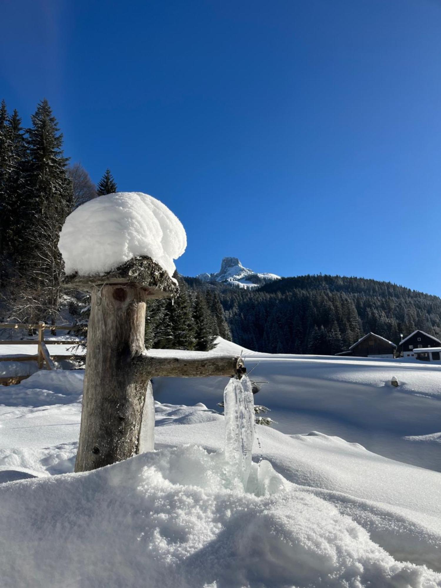 Plaik-Haeusl Villa Annaberg im Lammertal Buitenkant foto